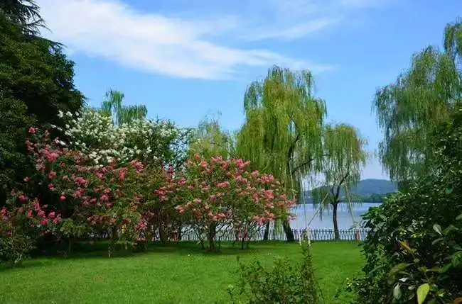 

Профессиональный EMS аппарат для моделирования тела 6500 Вт стимулятор мышц myoslim RF портативное устройство для похудения удаление жира ﻿