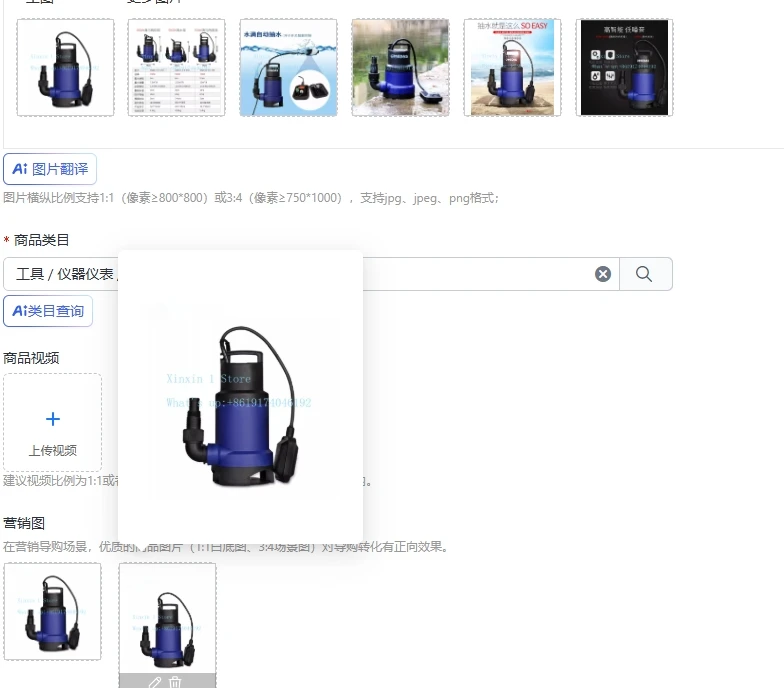 Fully Automatic Start-stop Pumping Pump Submersible Pump 220V Small with Water Level Controller