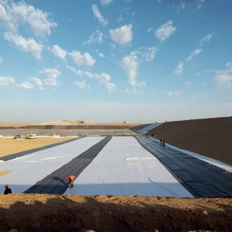 HDPE Anti Seepage Waterproof Geomembrane Customized for Fish Pond Dam Canal Landfill and Mining Construction Projects