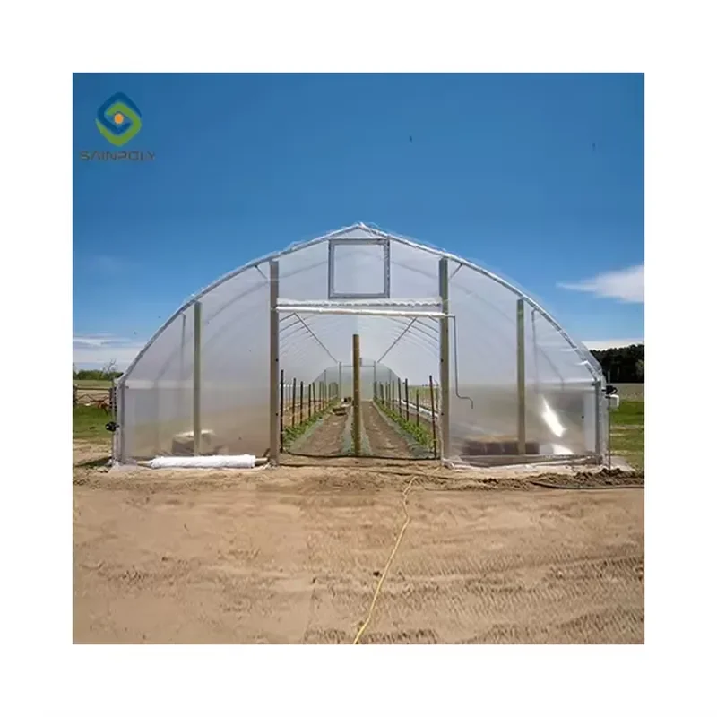 Single Span Tunnel Polycarbonate Galvanized Steel Pipe Greenhouse