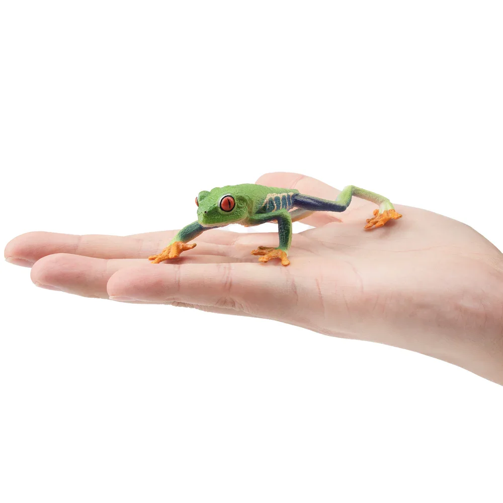 Toymany Simulation Red-eyed Tree Frog Reptile Realm Animal Model Toy Mini Figures Dolls Action Figurines Toys Children Gift