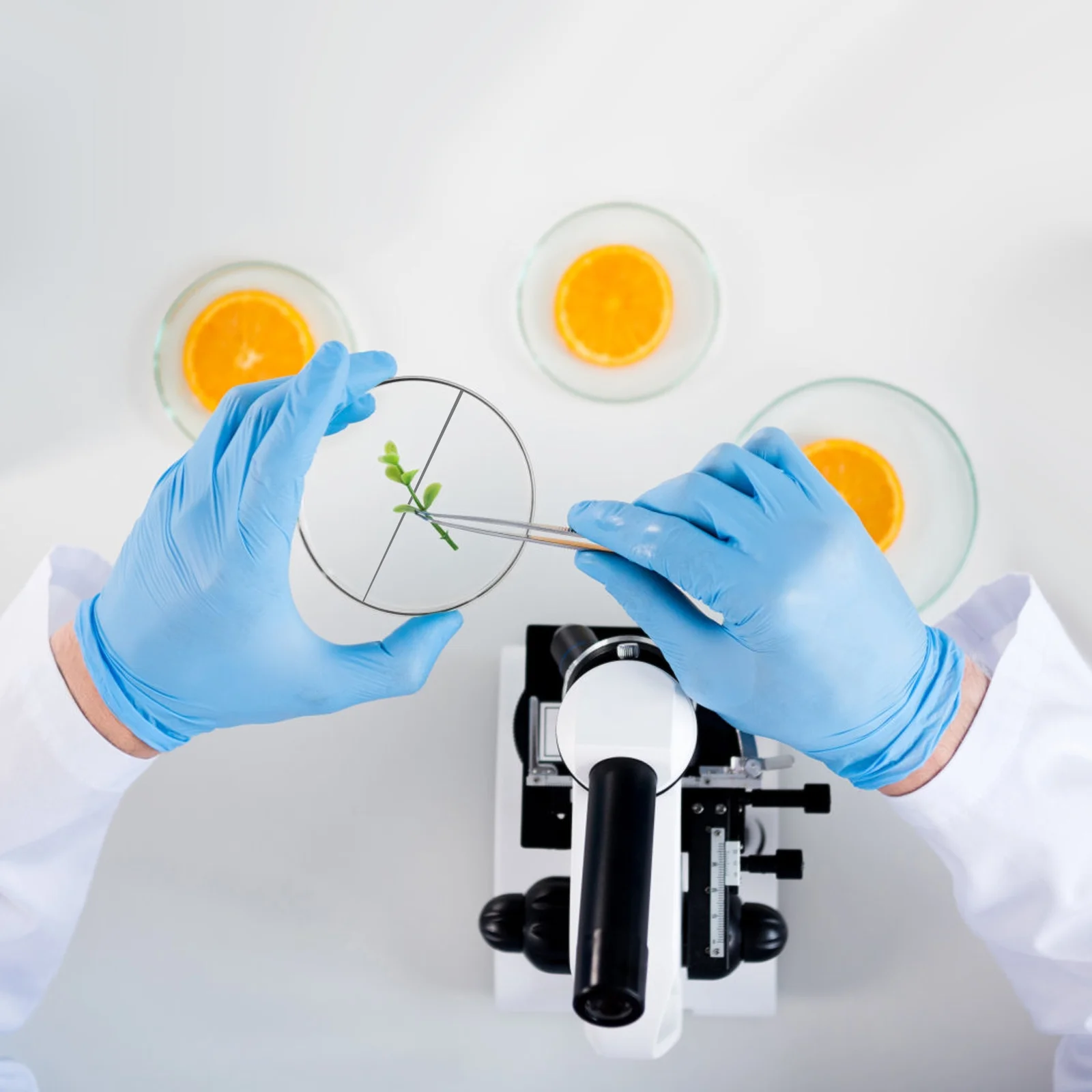 

10pcs Plastic Petri Dish Two Compartments Set For Laboratory Bacterial Cell Culture Agar Plates Science Research Disposable