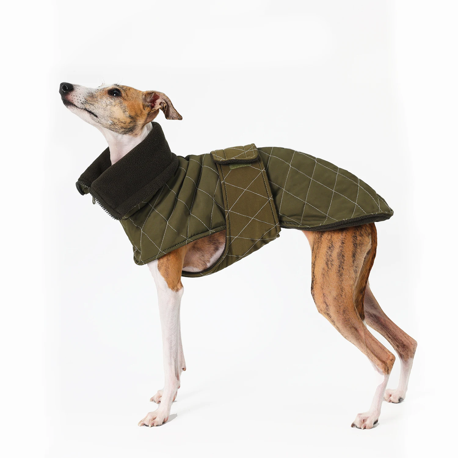 Haute Couture Adjustable Waistband Greyhound Jacket Windproof Warm Cape Clothes for Whippet Dog