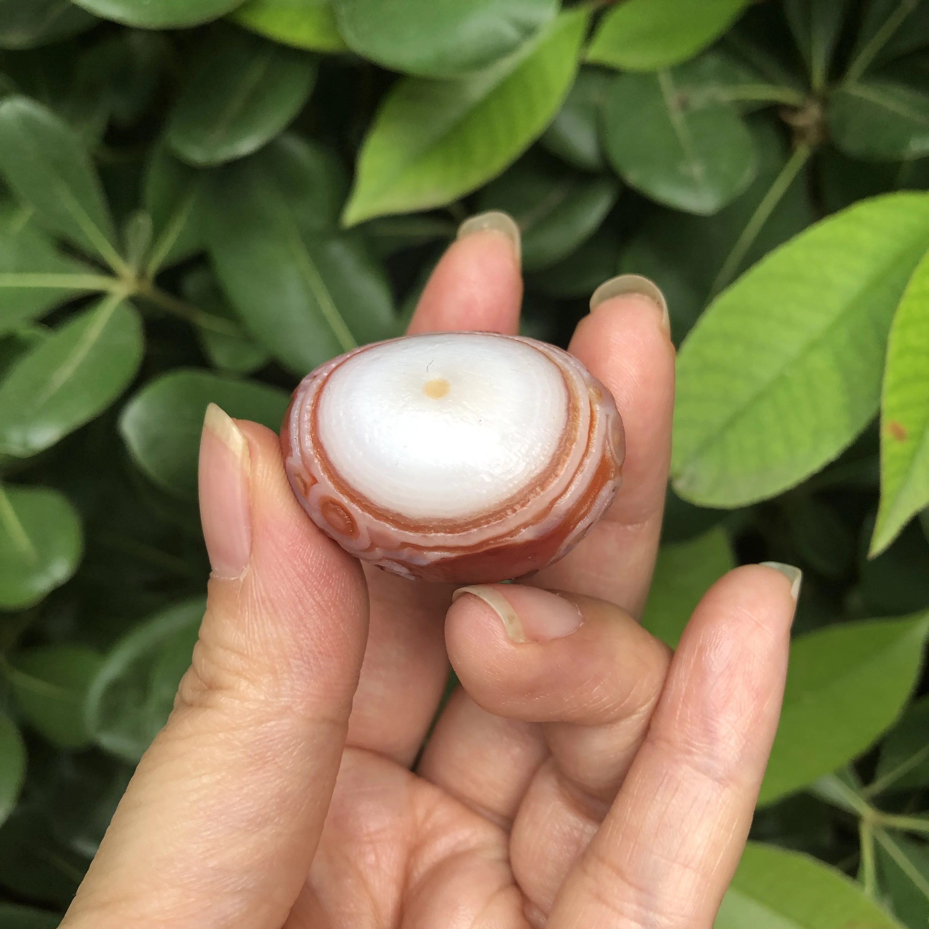 40G/3.66*3.28*2.43CM A Fine Natural Outer Mongolian Gobi Eye With An Orange-Red Gemstone Eye Texture Is Clearly Visible