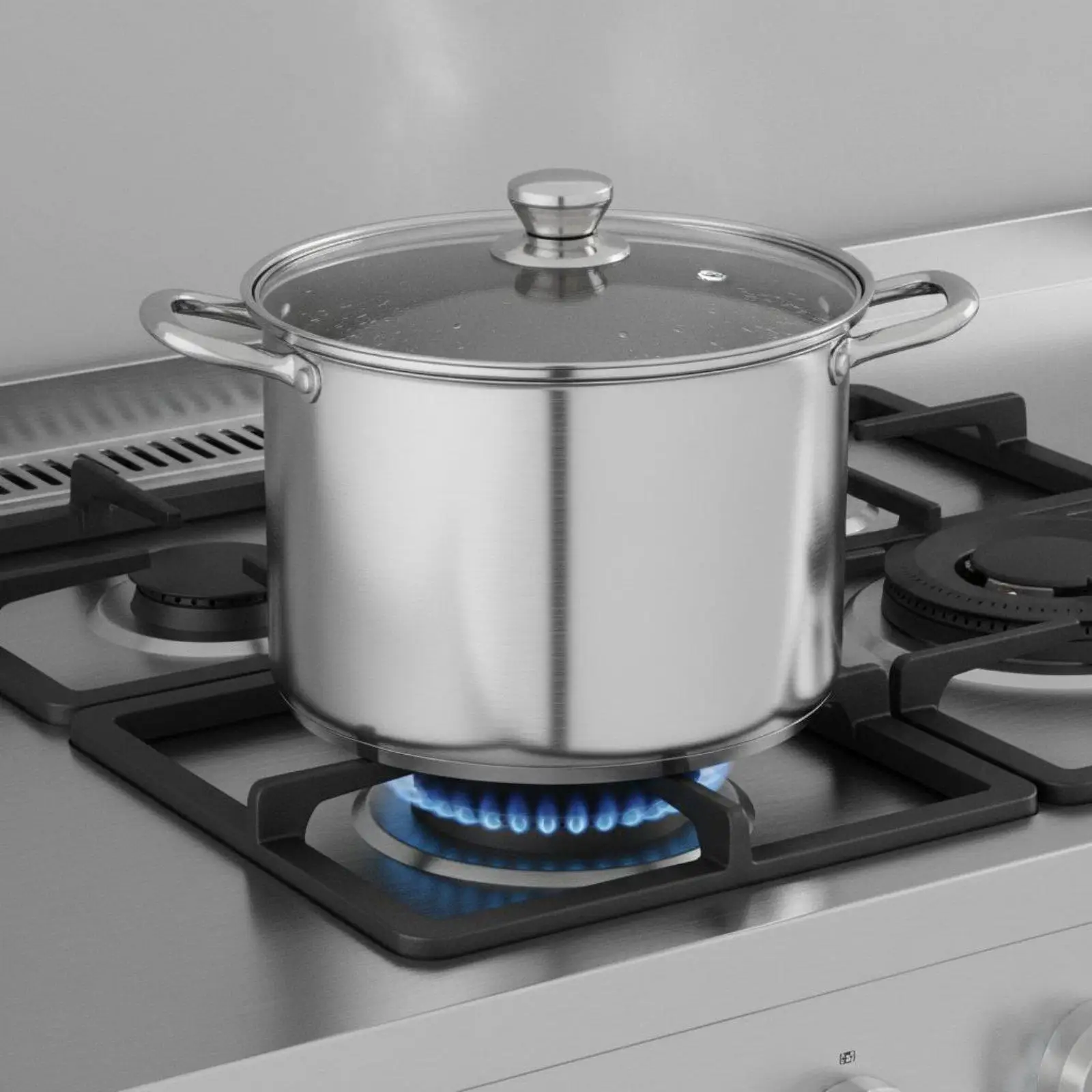 Multi Purpose Stainless Steel Cooking Vessel with Reinforced Body and Riveted Side Handles for Kitchen Soup