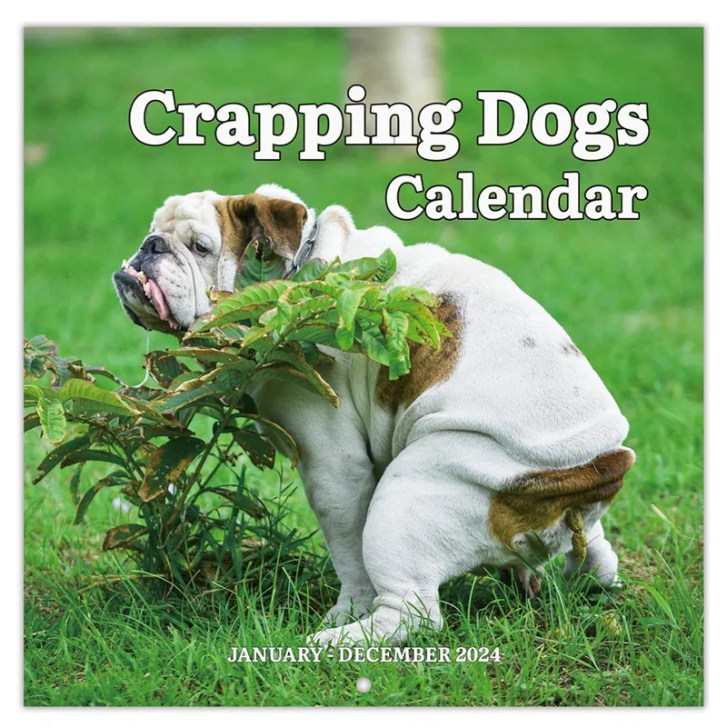 

1 Piece 2024 Wall Calendar - 2024 Calendar Jan 2024 - Dec 2024 12 Monthly Pooping Dogs Calendar 2024 Funny Gag Gifts