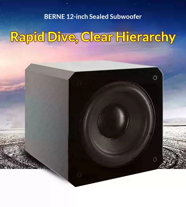 BYP-010 B-SW12 12 Inch Active Subwoofer Home Theater Super Bass Speaker System