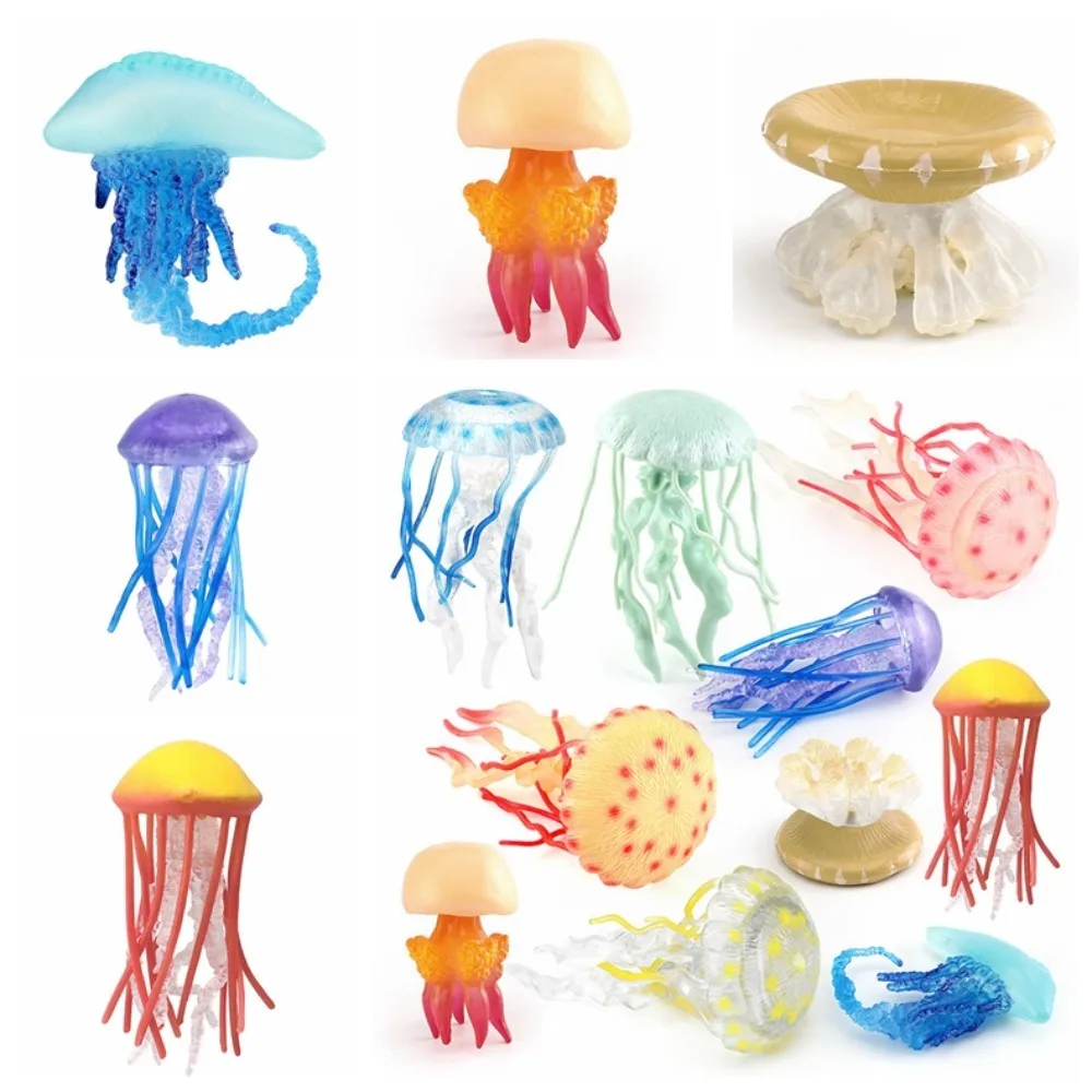 Estatuilla de animales del océano realista, medusas, estrella de mar, Coral, anémonas, modelo de vida marina, colección de figuras de acción, juguetes educativos para niños