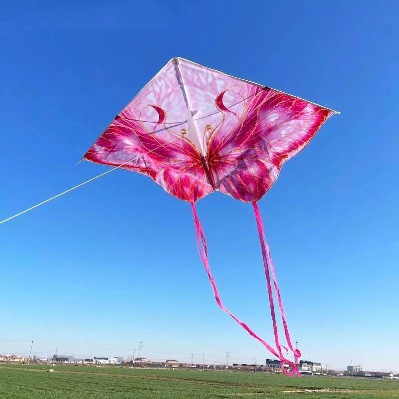 Free Shipping butterfly Kite flying for kids ripstop nylon fabric steering kite Car trestles power kite Flying bird gell blaster