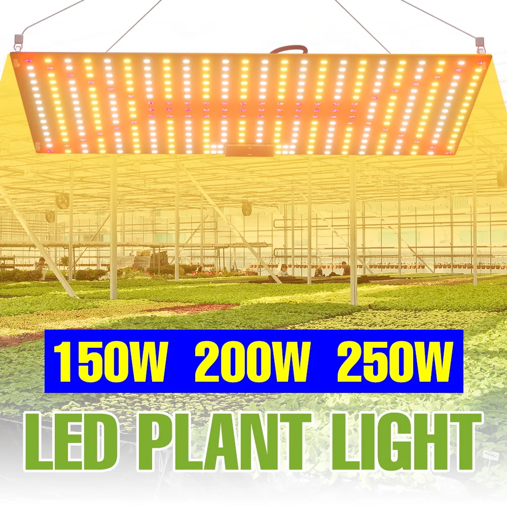 

Светодиодная лампа для растений 250 Вт, полный спектр, Quantum Board, для теплиц и гидропоники, дополнительное освещение, вилка US/EU, AC100-277V