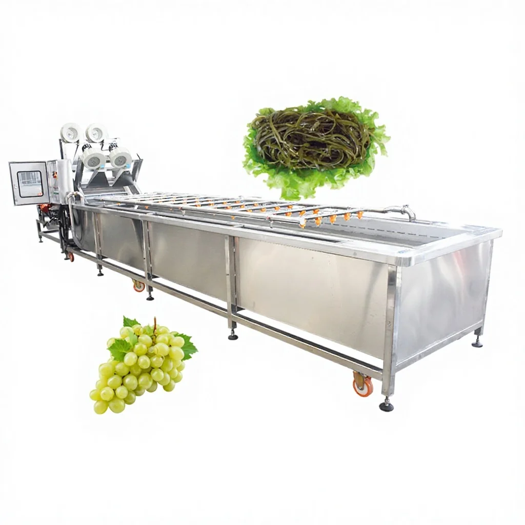 Industrial Fruit Cleaning Equipment Kelp Washing Grape Washer Machine Vegetable Cleaner for Sale