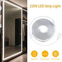 LED Dressing Mirror Backlight Lamp With 220V Swtich EU Plug 120LEDs/m 1-20m High Brightness Light Strip for Livingroom Wardrobe