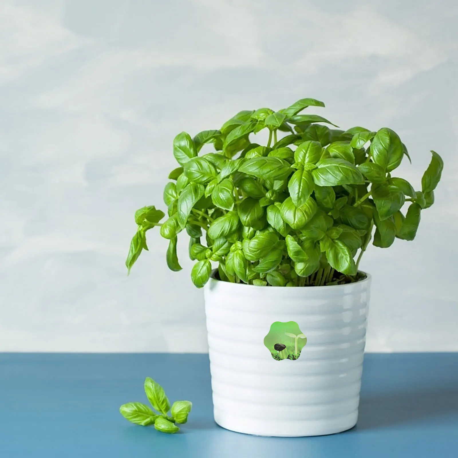 

10 Sheets Hydroponic Seed Pot Stickers PVC Plant Grow Labels Easy Operate Suitable Most Pots Baskets Seed Pot Labels