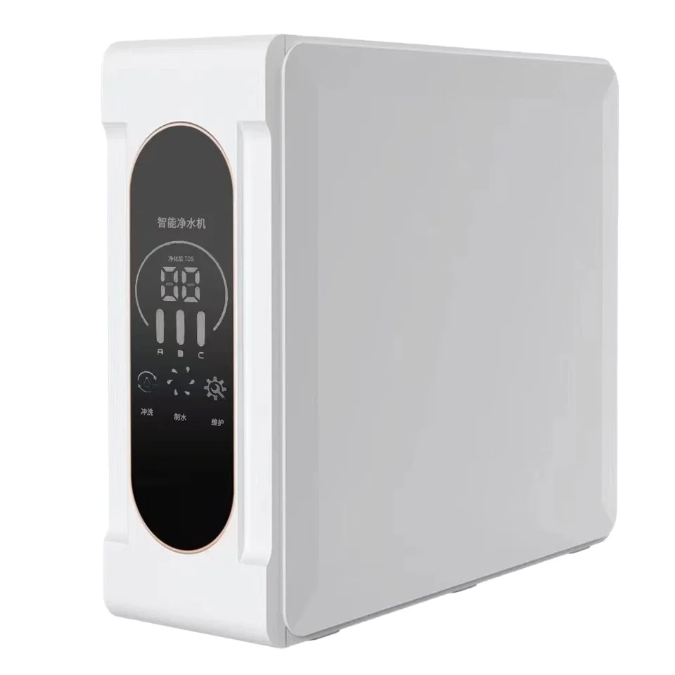 Mini dispensador de agua RO de alta velocidad de flujo, 1,5 l/M, purificador de agua purificado de escritorio, máquina para el hogar, Hotel, carcasa de plástico fría