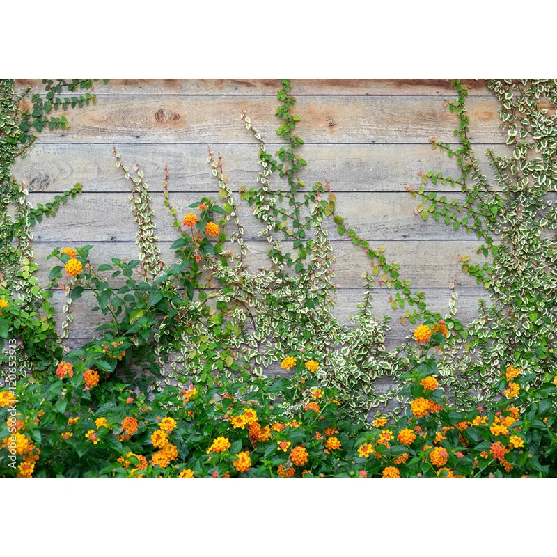 Vinyl Photography Backdrops Prop Flower Wall Wedding Valentine's Day Theme Photo Studio Background Props 211223 HHQQ-02