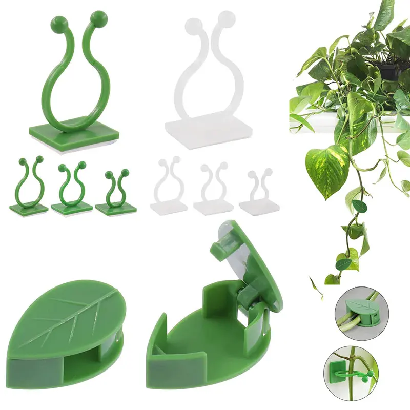 

10/20/30Pcs Plant Climbing Wall Fixture Clips Invisible Self-Adhesive Hook Plant Vine Traction Plant Clips for Wall Home Decor