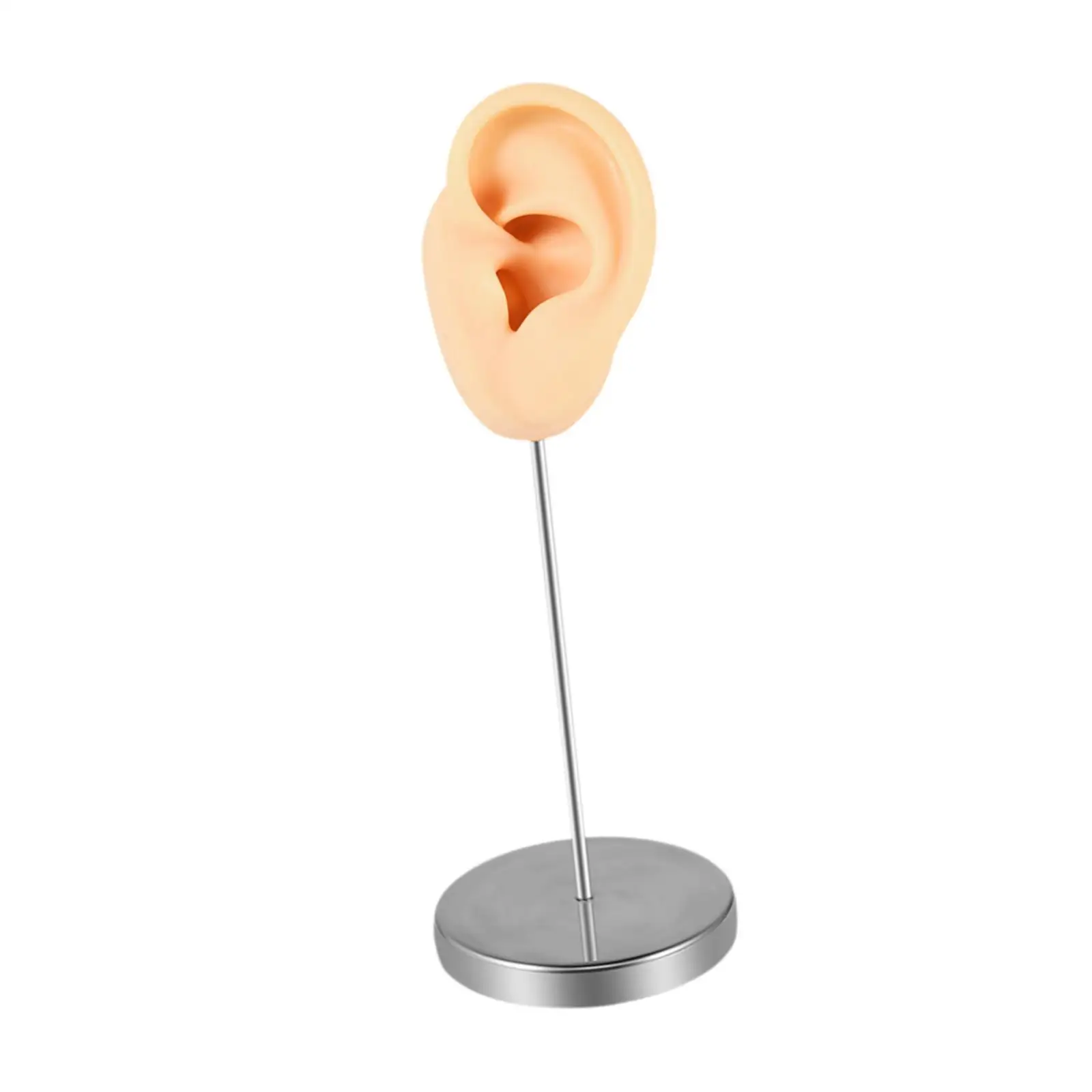 Silicone Ear Model,Earring Jewelry Display Body Part Stainless Steel Holder Stand Pierceable Fake Ear for Instructions Shows
