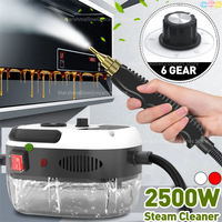 2500W 110V 220V High Pressure And Temperature Handhled Steam Cleaner For Air Conditioner Kitchen Hood Car Steaming Cleaner