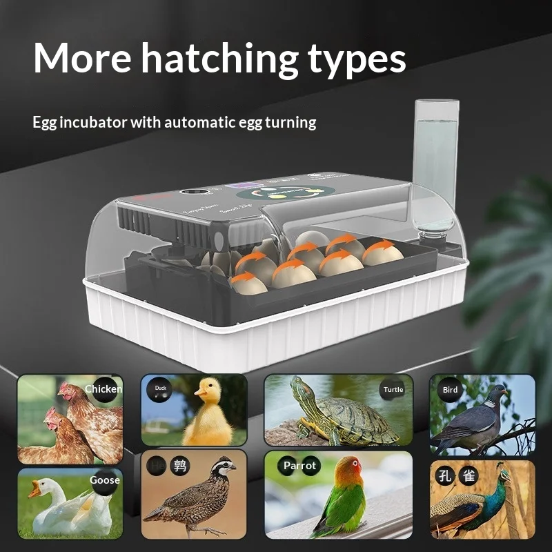 Household small egg incubators 12 egg farming equipment poultry hatching
