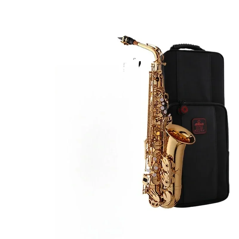

Alto Saxophone, Double Reinforced, E Flat, Beginner's Introduction, Saxophone
