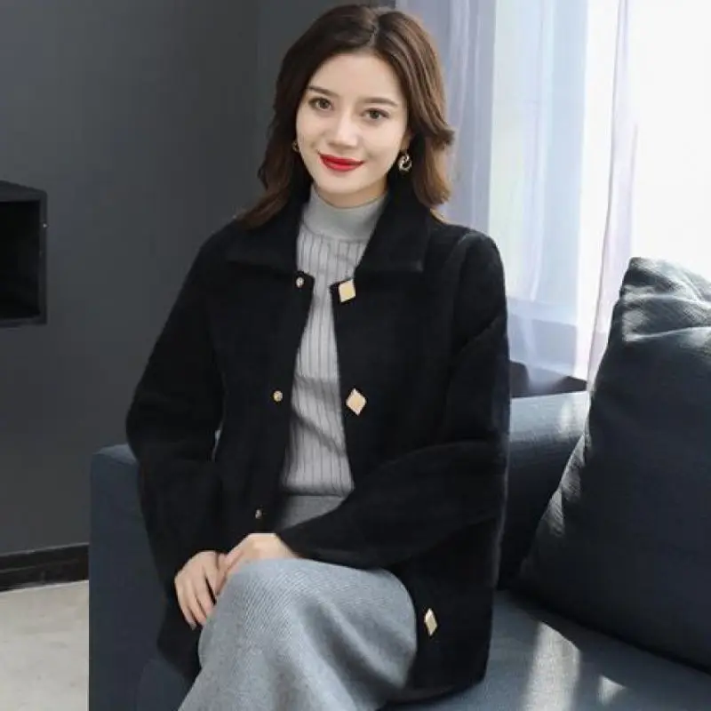 New Korean Jacket Imitation Mink Sweater Women\'s Cardigan Button Imitation Mink Velvet Jacket Women\'s New Spring and Autumn