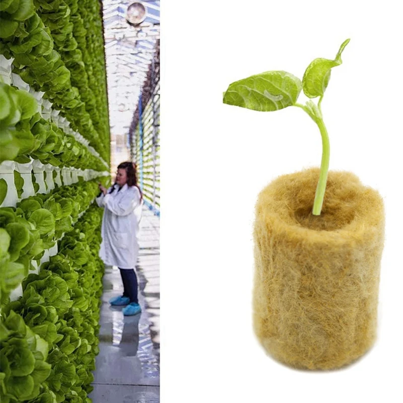 Soilles Planting Sponge Grow Garden Starter Cubes Rock Wool Plug Soilless Culture Substrate