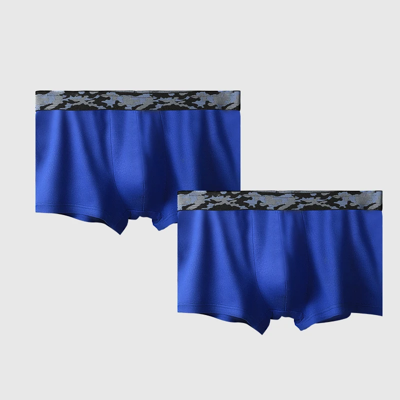 

2Pcs Men's Ice Silk Underwear Summer Thin Breathable Boxer Briefs Quick-Drying Sports Underpants for Young Men