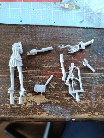 Buyer photo of this resin kit