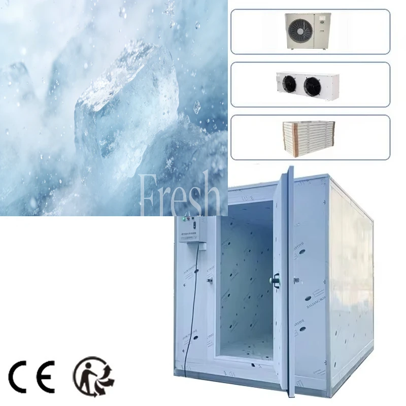 Customized Industrial Cold Storage Freezer Room for Fish Seafood Freezing Preservation