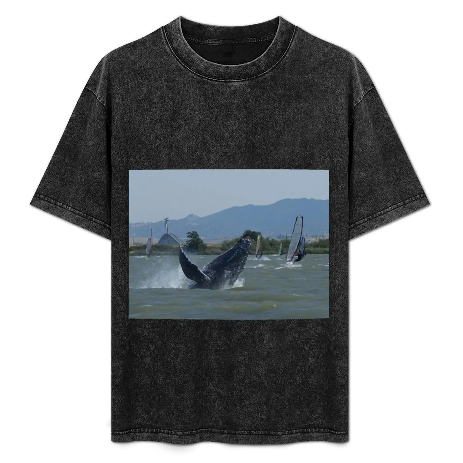 

Humpback Whale Breaching by Windsurfers T-Shirt t shirt man designer printed t shirts for man T-Shirt