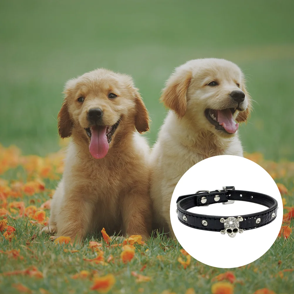 1 Pc Halloween Pet Collars PU Stylish Skull Design Crystal Dog Collars (Size S) Puppy Collars Stylish Pet Collars