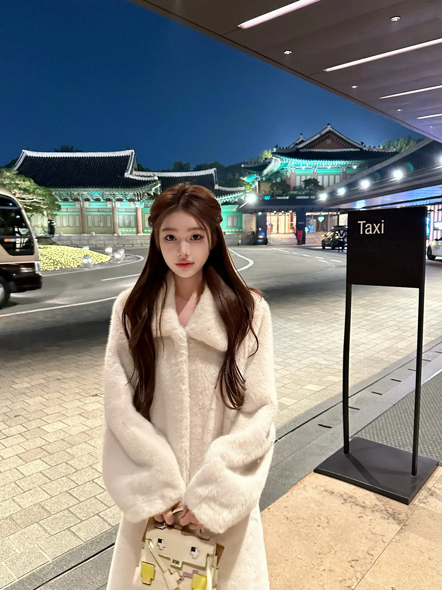 Manteau d'hiver pour femme Chien Long Jaet, col en fourrure, chaud, coupe-vent, intérieur en polyester, toutes tailles, style coréen pour jeunes