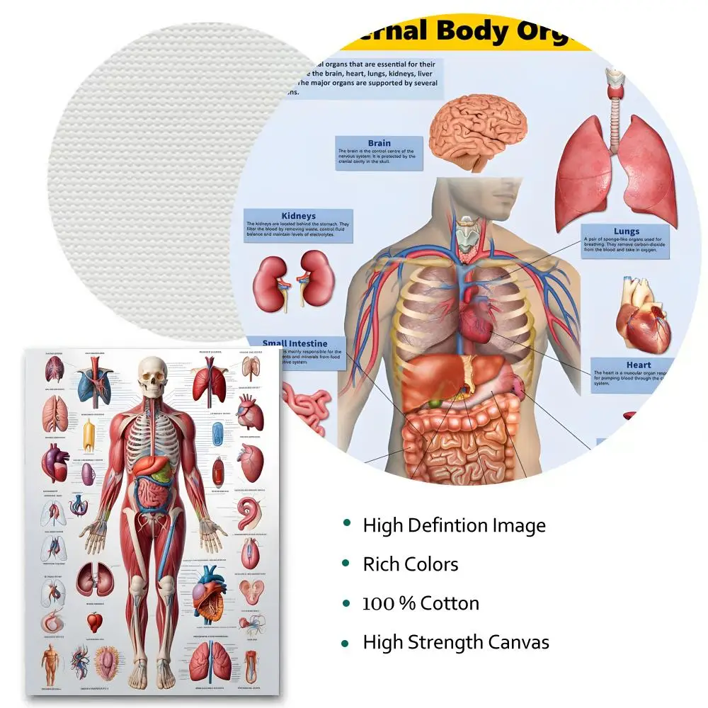 ملصق قماشي لهيكل جسم الإنسان، خالٍ من التجاعيد، مقاوم للماء، متين، ديكور جداري مثالي للمنزل، جميع المساحات #3
