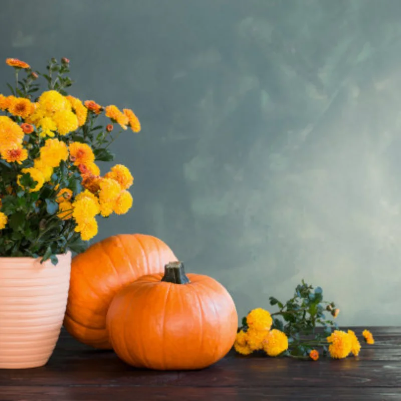 

Шины MX2.5 дюйма для радиоуправляемых моделей ARRMA 1/8 1/7 MOJAVE 4S 6S EXB TRXS UDR Short Truck, для дорог, песка и бездорожья