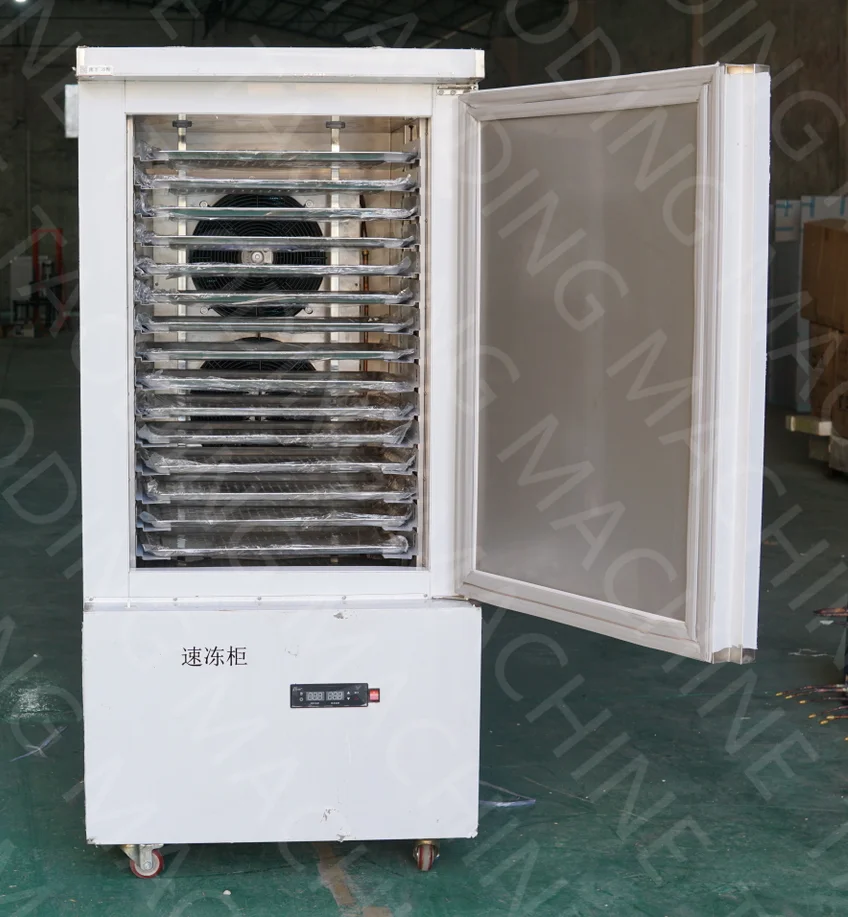 304SS Quick Fast Instant Freezing Shock Freezing Chiller Liquid Freezer Blast Chiller Freezer