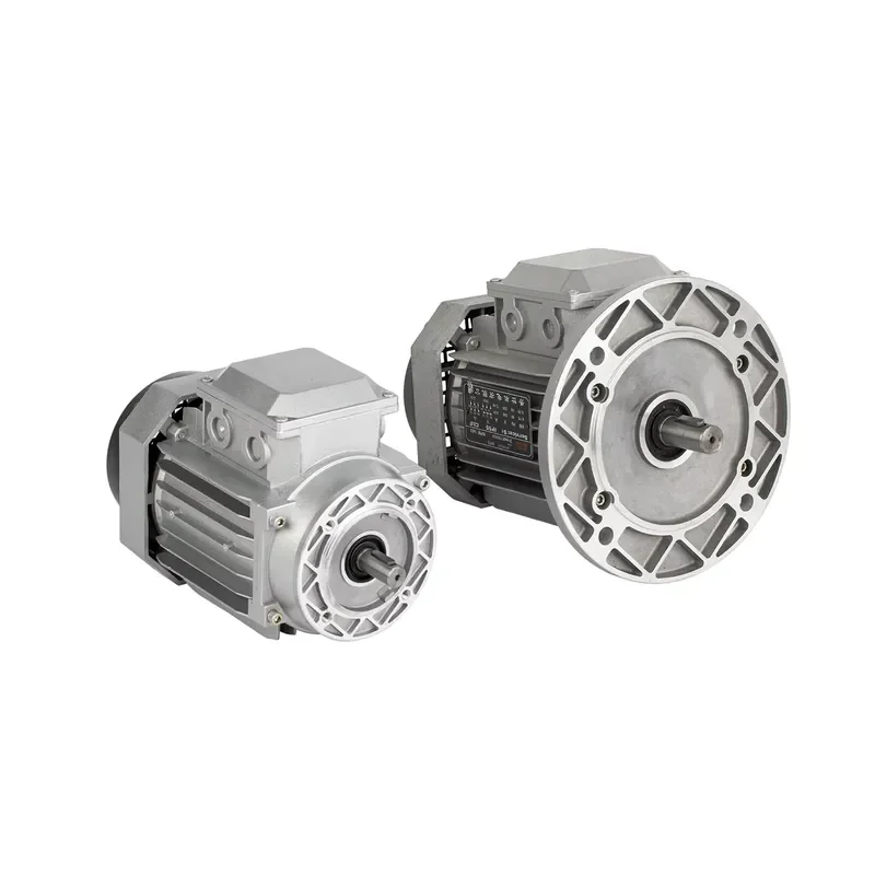

Three Phase 1500RPM Asynchronous Electric Motor 380V 370W 0.5HP YS7124 AC Induction Motor for Industrial Pumps