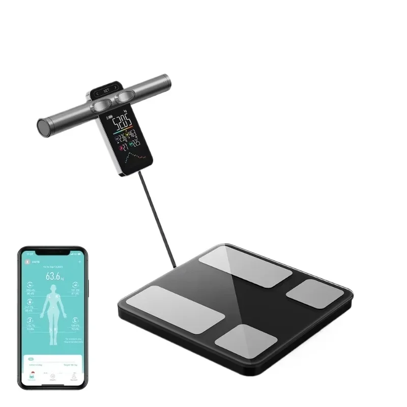 

Electrode Bluetooth Ito Home Body Scale with Smart Digital Body Fat Scale