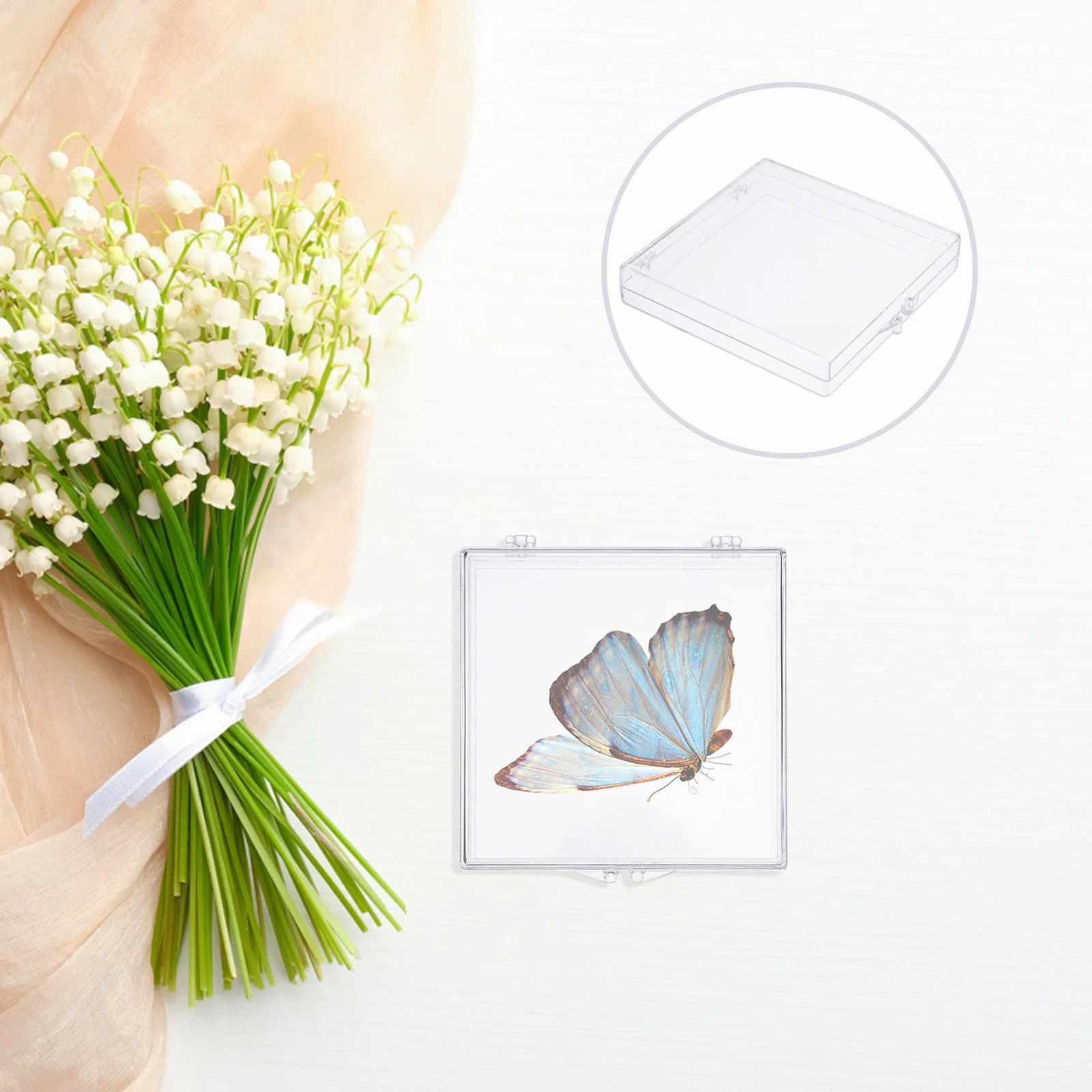 

6pcs Butterfly Specimen Box Clear Plastic Display Case Hinged Lid For Insect Storage Transparent Keepsake Container Small