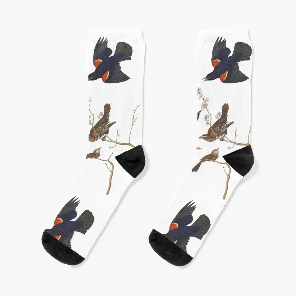 Red-winged Blackbird / Vintage birds prints and patterns Socks Soccer anime cute cotton Mens Socks Women's