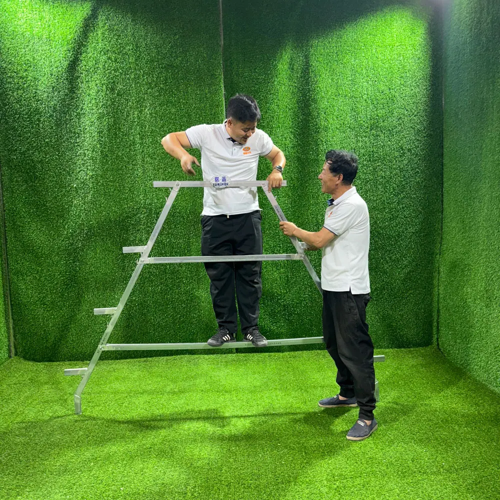 500 Allevamento di polli a deposizione automatica di galline/batteria a strati una gabbia per polli di tipo per l'allevamento di pollame