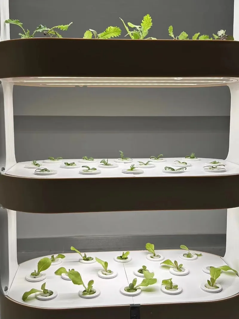 Garden Vertical Farming Aeroponic Tower Indoor Hydroponic Growing System Tower for Home Vegetables