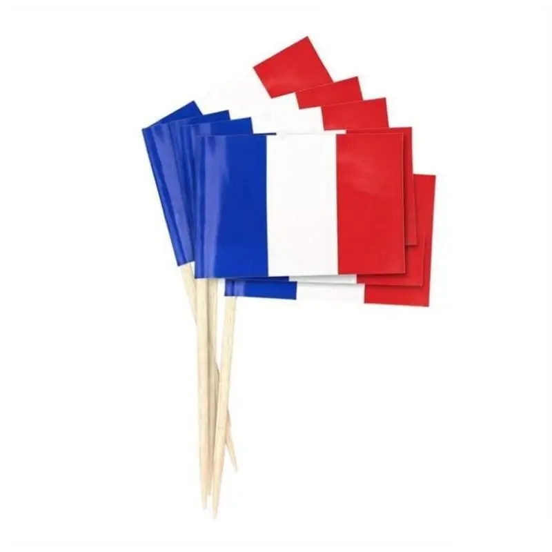 100pcs, France Toothpick Flags,French Party Supplies,Appetizer Flags Toothpicks, Thanksgiving Christmas Party Supplies