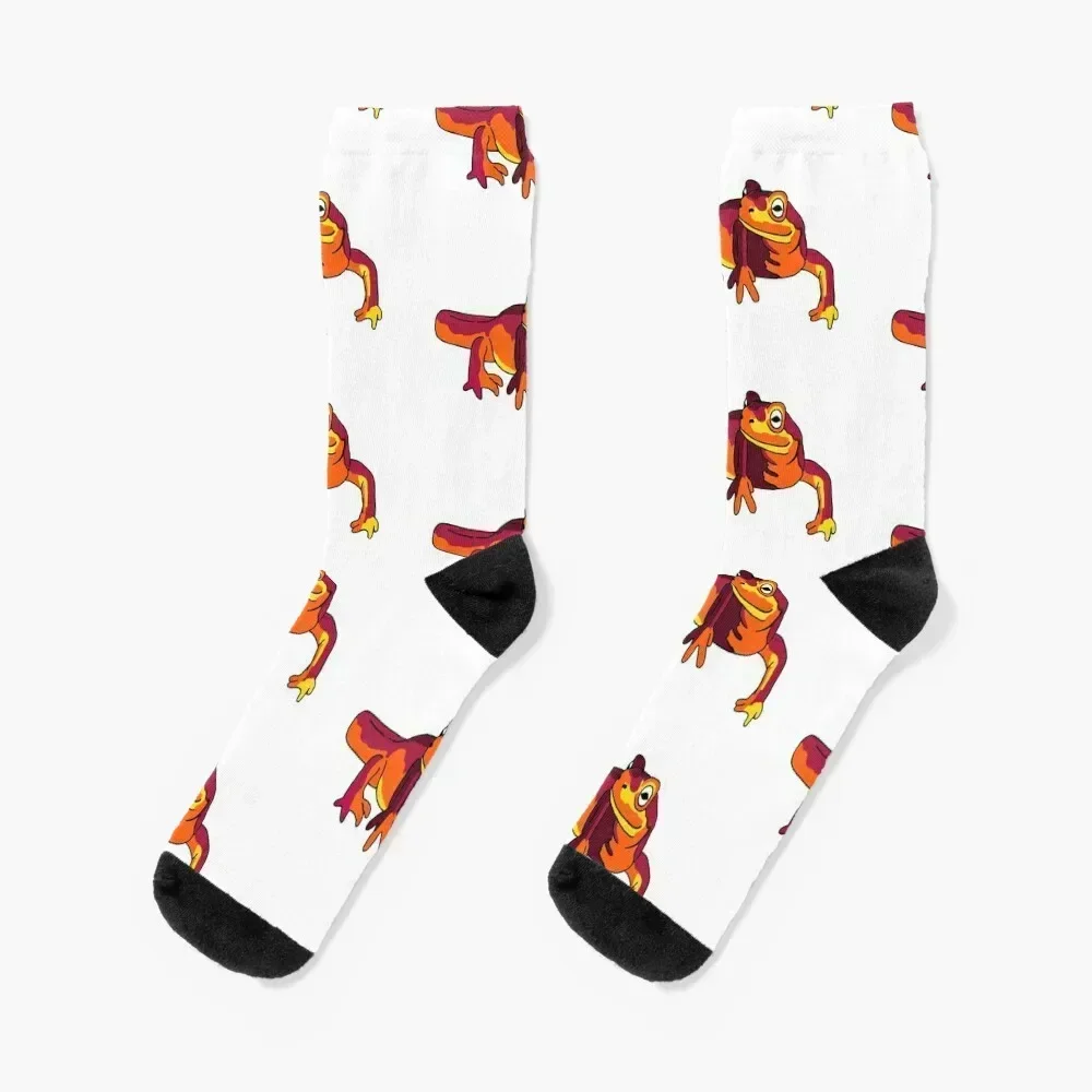 

Colorful Newt Lizard Socks kawaii Run luxe Stockings compression Socks For Man Women's