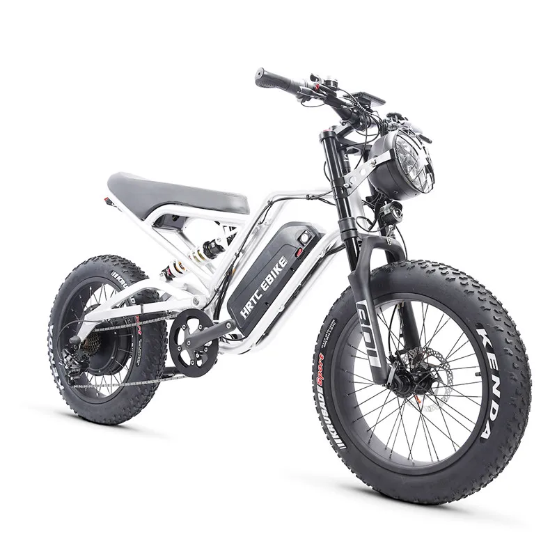 20 inch Off-road Moped Wide Tire Lithium Battery Snowmobile Mountain Bike Electric Bicycle 48V Fat Fertilizer Tire Emtb