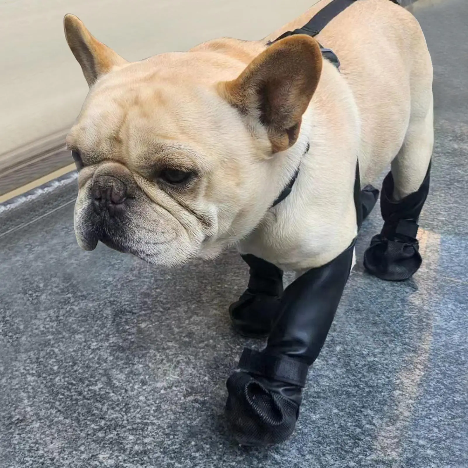 Buty na szelkach dla psów chroniące przed zabrudzeniami, legginsy dla zwierząt, ochraniacze na łapy, buty na szelkach dla buldogów francuskich, dla małych i dużych ras.