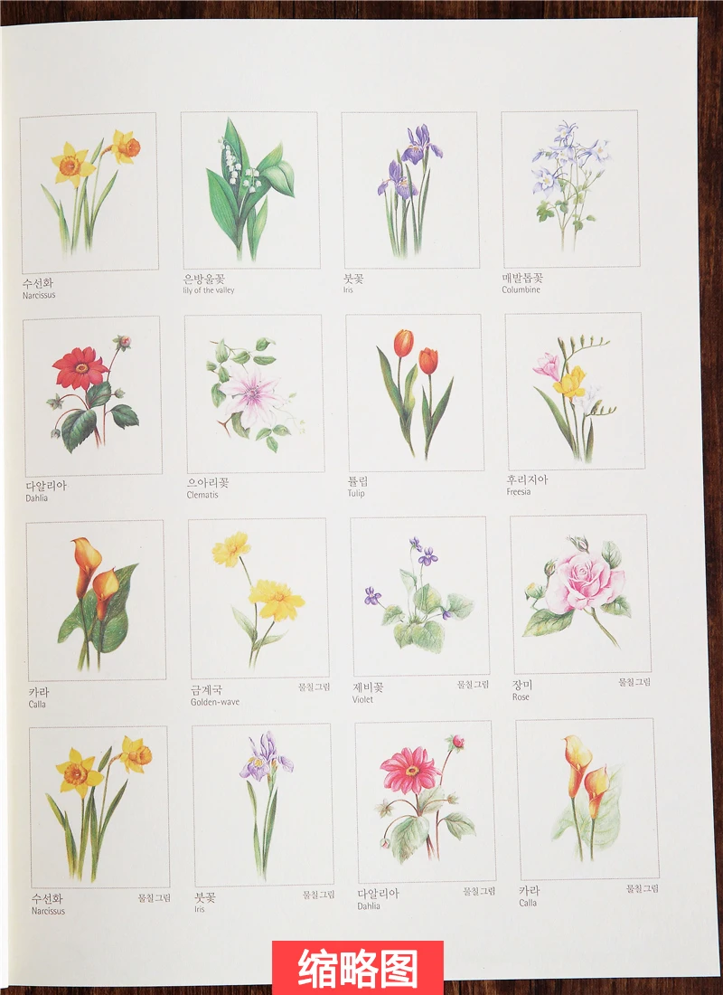 72 Pages 27*22cm Korean Four Seasons Flower Coloring Book Adult Decompression Graffiti Painting Line Art Draft