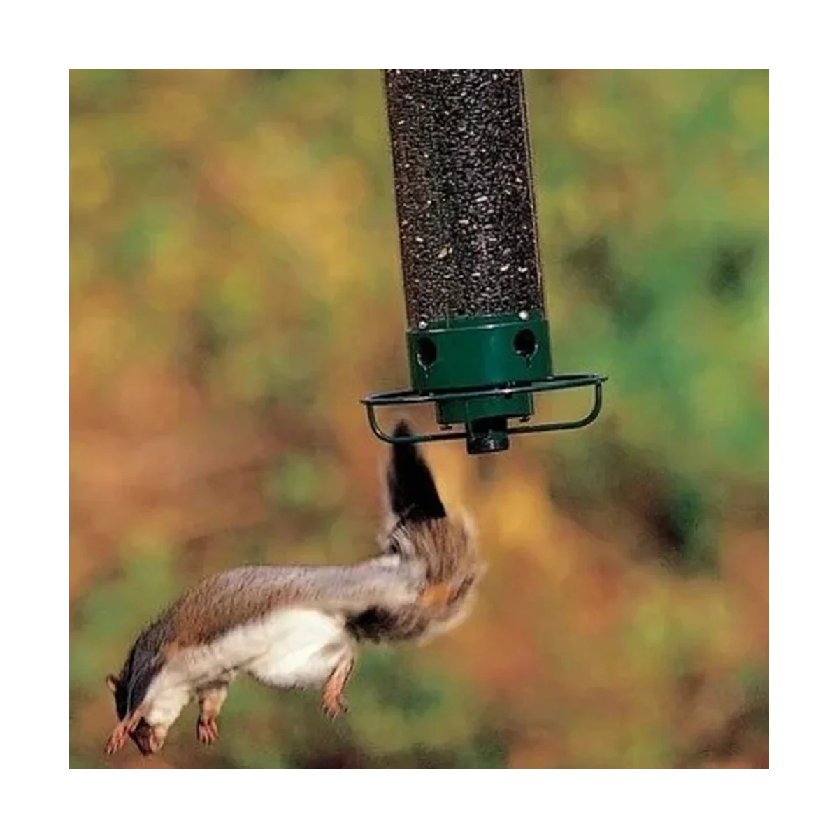 Droll Yankees YF-M Yankee Flipper Squirrel-Proof Wild Bird Feeder with Weight Activated Rotating Perch