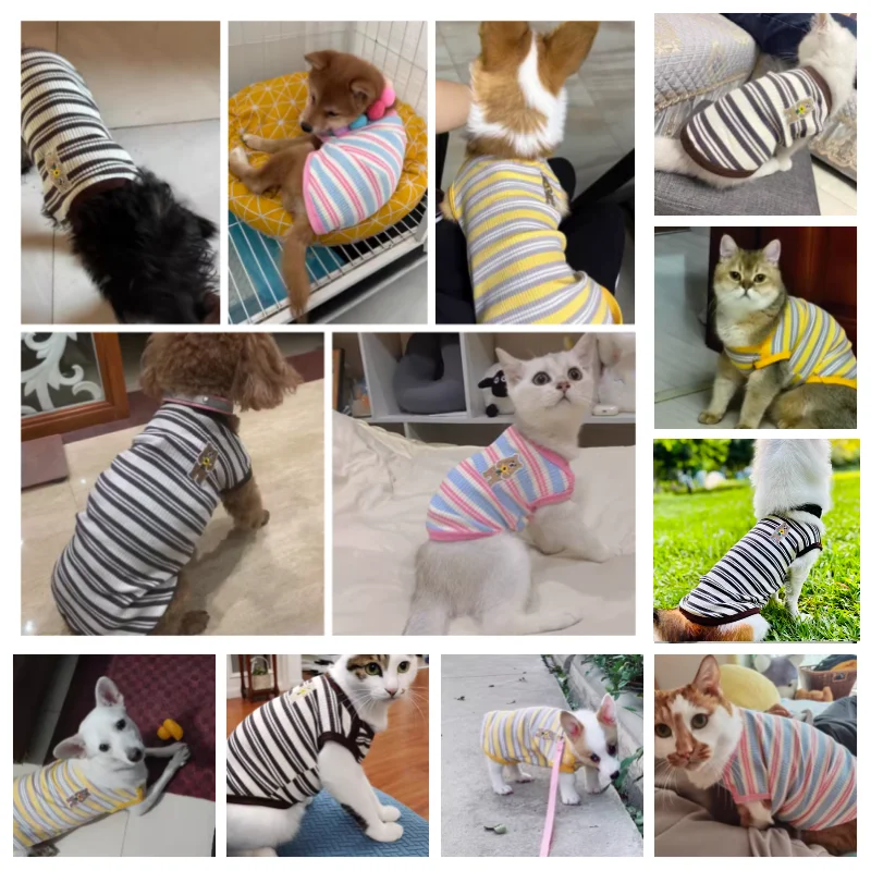 Pet Dog Vest Puppy Clothes Summer Cotton Bear Print T-Shirt Striped Dog Shirt Girls Dog Costume Chihuahua Korean Style Clothing