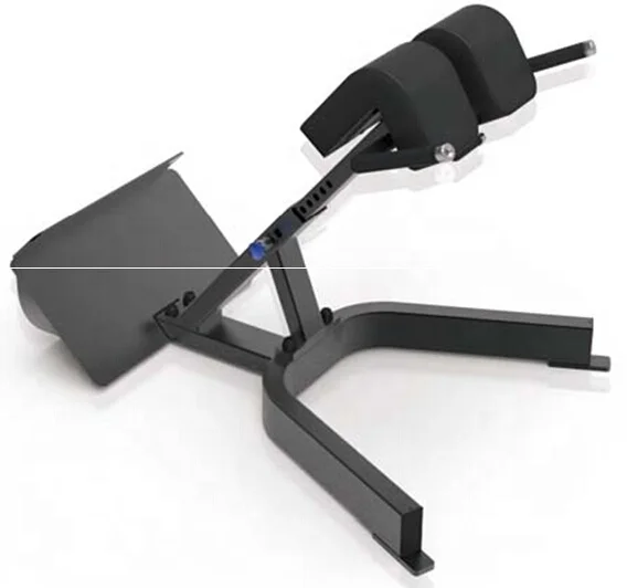 

Professional Gym Equipment Fitness Roman Chair Back Extension Roman Extension