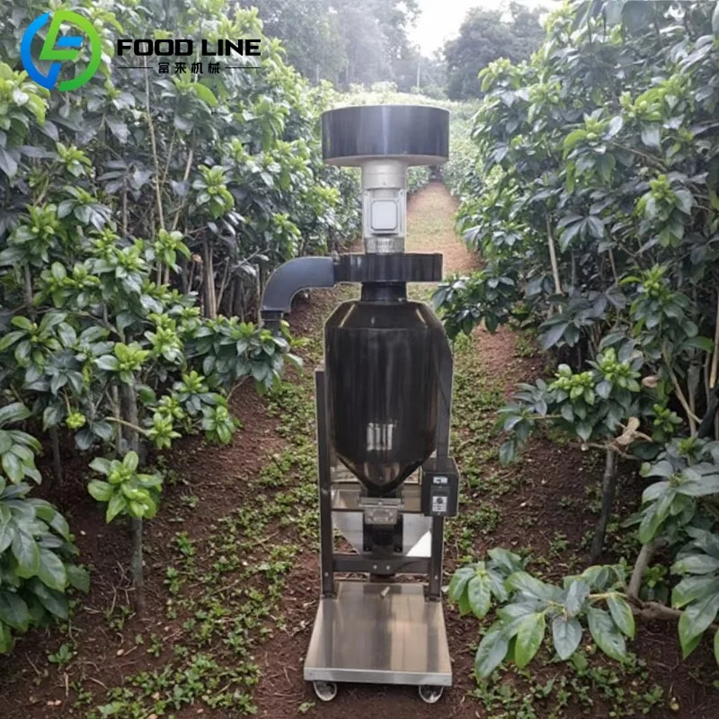 Customized Commercial Decontaminator For Coffee Beans With Adjustable Speed Control For Efficient Stone And Debris Removal